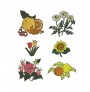 Botanical Embroidery Bundle – Flowers & Fruits 4x4