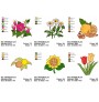 Mini Embroidery Design Set 6 Designs