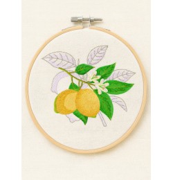 Lemon Free Embroidery Design 5x7 PES  JEF