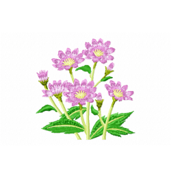 Blossom Embroidery Design