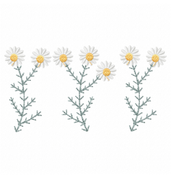 Chamomile Daisy Embroidery Design