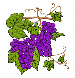 Grapes free Embroidery Design 5x7