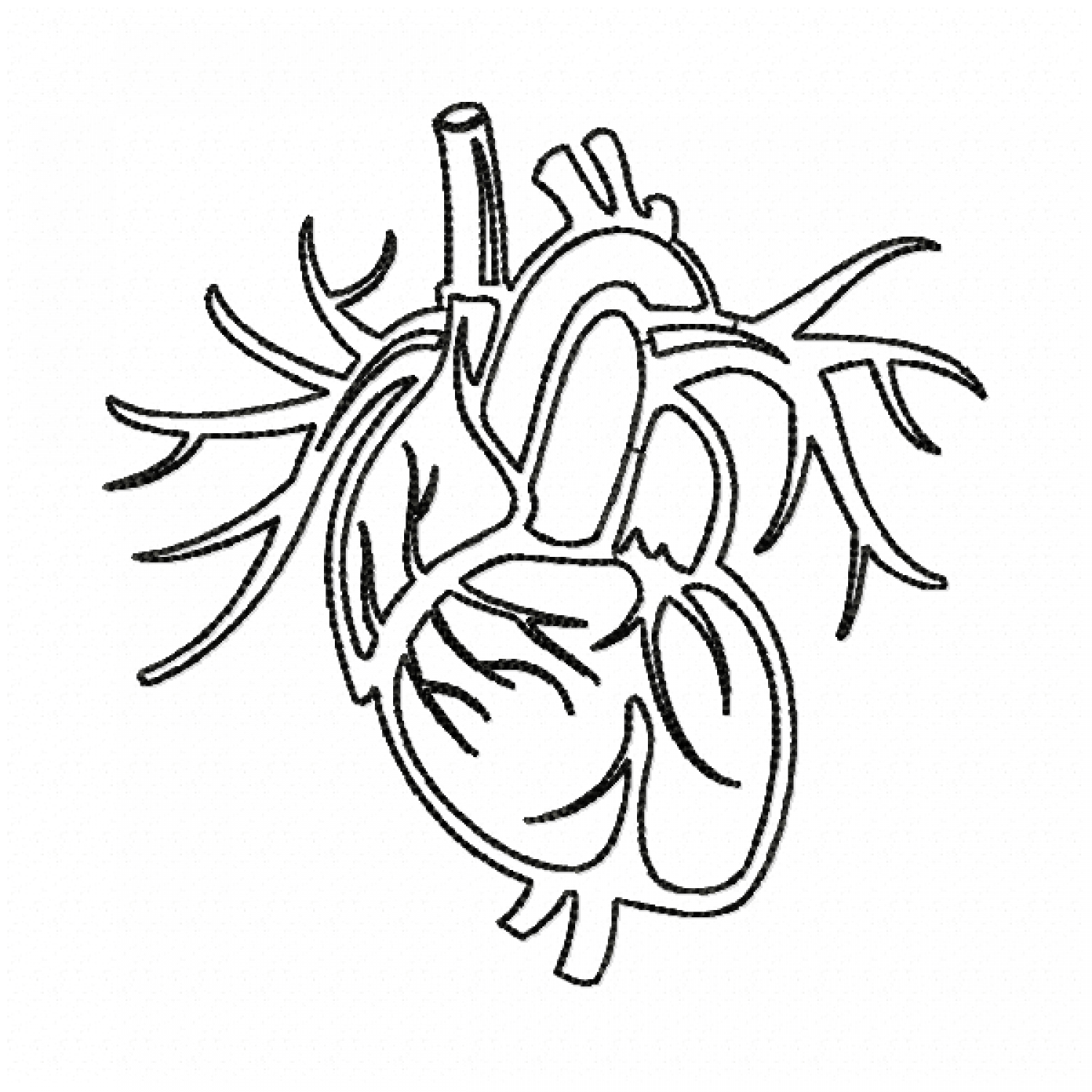 Human heart Embroidery Design