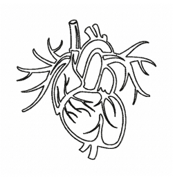 Human heart Embroidery Design