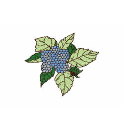 Grape leaves Embroidery Design