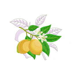 Free Lemon Embroidery Design 5x7 PES  JEF